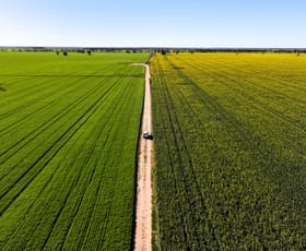 Rural / Farming commercial property sold at Terlings Newell Highway Moree NSW 2400