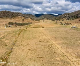 Rural / Farming commercial property sold at 2160 Barigan Road Mudgee NSW 2850