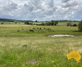 Rural / Farming commercial property for sale at 17 WECKERS ROAD Charlestown QLD 4608