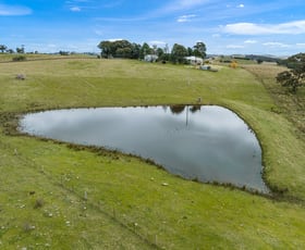 Rural / Farming commercial property sold at 135 Bundaleer Road Newbridge NSW 2795