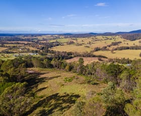 Rural / Farming commercial property for sale at Lot 22 Barrabaroo Road Cobargo NSW 2550