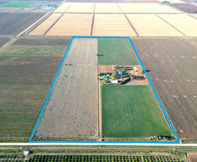 Rural / Farming commercial property sold at 183 Evans Road Bilbul NSW 2680