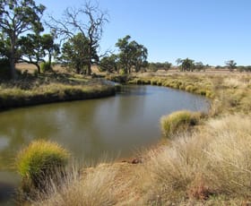 Rural / Farming commercial property for sale at 1697 Purlewaugh Road Coonabarabran NSW 2357