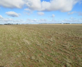 Rural / Farming commercial property sold at 346 Southdown Road Deniliquin NSW 2710