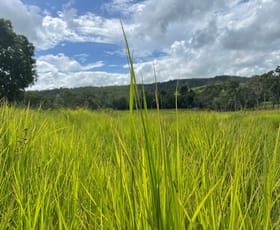 Rural / Farming commercial property sold at 289 Pernas Road Kuttabul QLD 4741