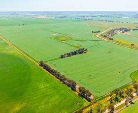 Rural / Farming commercial property sold at 299 Sherwins Road Berrigan NSW 2712