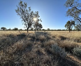 Rural / Farming commercial property for sale at 0 Warrego Highway Morven QLD 4468