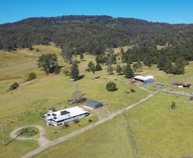 Rural / Farming commercial property for sale at 2788 Kangaroo Creek Road Kangaroo Creek NSW 2460