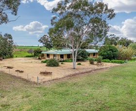 Rural / Farming commercial property sold at 447 Wetmores Lane Milbrulong NSW 2656