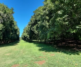 Rural / Farming commercial property for sale at Dunoon NSW 2480