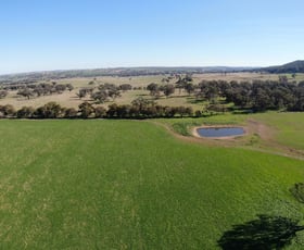 Rural / Farming commercial property for sale at 'Black Range' Cusack Road Boorowa NSW 2586