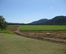 Rural / Farming commercial property for sale at 1136 Silkwood-Japoon Road Japoonvale QLD 4856