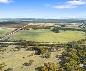 Rural / Farming commercial property for sale at 84A Woolshed Flat Road Wychitella VIC 3525