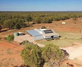 Rural / Farming commercial property sold at 208 Fern Springs Road Basalt QLD 4820