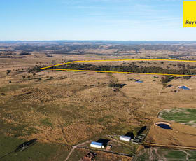 Rural / Farming commercial property sold at 'Oak Ridge' Ashford Road Inverell NSW 2360