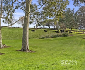 Rural / Farming commercial property for sale at 485 Canavans Road Leongatha North VIC 3953