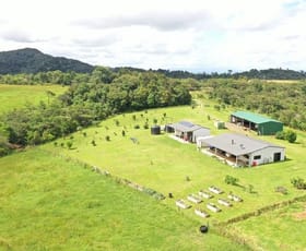 Rural / Farming commercial property for sale at 337 East Evelyn Road Millaa Millaa QLD 4886