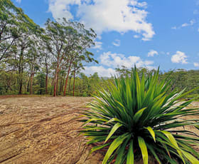 Rural / Farming commercial property sold at 101 Olney Arm Rd Laguna NSW 2325