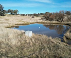 Rural / Farming commercial property sold at Lot 8/45 Caloola Street Newbridge NSW 2795