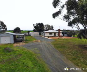 Rural / Farming commercial property sold at 1503 Corop-Wanalta Road Corop VIC 3559