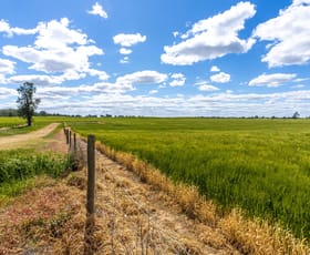 Rural / Farming commercial property sold at Lot 2/3703 Lot 2/3703 Barooga-Tocumwal Road, Barooga NSW 3644