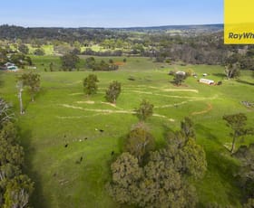 Rural / Farming commercial property sold at 8425 Campbells Road Bridgetown WA 6255