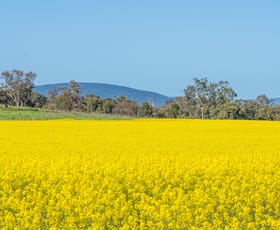 Rural / Farming commercial property sold at Canowindra NSW 2804