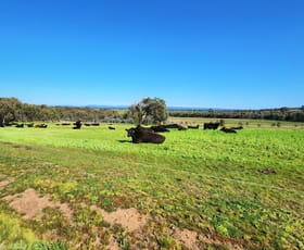 Rural / Farming commercial property sold at 140 Springdale Road Tarrawingee VIC 3678