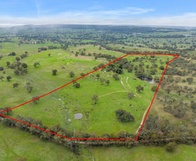 Rural / Farming commercial property sold at 827 Trial Hill Road Pewsey Vale SA 5351