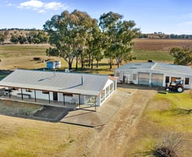 Rural / Farming commercial property sold at 323 Borambil Road Borambil NSW 2343