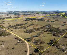 Rural / Farming commercial property sold at Stagecoach Road Orange NSW 2800