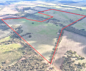 Rural / Farming commercial property for sale at 7B, 11, 12, P14, C11 Kingower-Kurting Road Kurting VIC 3517