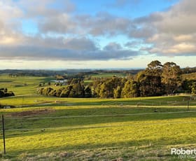 Rural / Farming commercial property for sale at 38 Kings Road Upper Natone TAS 7321