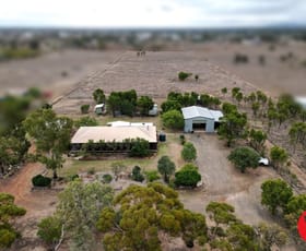 Rural / Farming commercial property sold at 82 Geoghegan Road Roma QLD 4455
