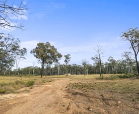 Rural / Farming commercial property for sale at 125 Roberts Road Werombi NSW 2570