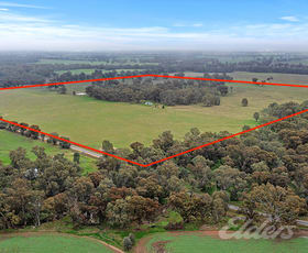 Rural / Farming commercial property for sale at 296 Boorhaman East Road Norong VIC 3682