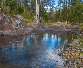 Rural / Farming commercial property sold at 895 Bowman River Road, Bowman via Gloucester NSW 2422