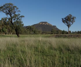 Rural / Farming commercial property sold at Lot 1, 277 Noola Road Rylstone NSW 2849
