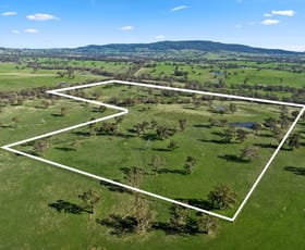 Rural / Farming commercial property sold at 231 Sutton Grange-Redesdale Road Sutton Grange VIC 3448