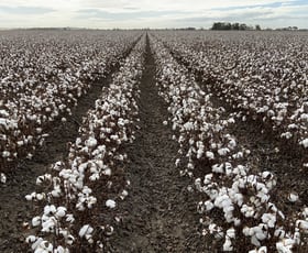 Rural / Farming commercial property for sale at Part Farm 1082, 1386 Murrami Road Leeton NSW 2705