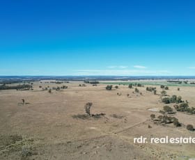 Rural / Farming commercial property for sale at Middletons Lane Inverell NSW 2360