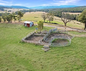 Rural / Farming commercial property for sale at 145 Waterhole Gully Road Bonang VIC 3888