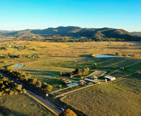 Rural / Farming commercial property sold at 607 Castlereagh Highway Mudgee NSW 2850