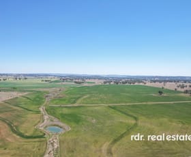 Rural / Farming commercial property sold at Gwydir Highway Inverell NSW 2360