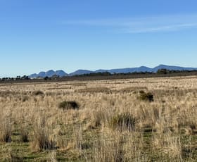 Rural / Farming commercial property sold at . Tasman Highway Swansea TAS 7190