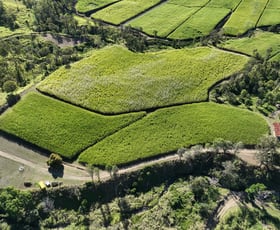 Rural / Farming commercial property sold at Lot 2 Thornes Road Finch Hatton QLD 4756