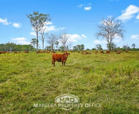 Rural / Farming commercial property for sale at 150 & 154, 764 Hodzic Road Biboohra QLD 4880