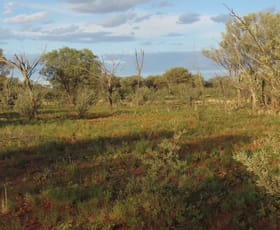 Rural / Farming commercial property sold at 'Yetholme Station'/. Garden Vale Road Wanaaring NSW 2840