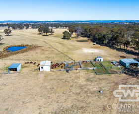 Rural / Farming commercial property sold at 1308B Torrington Road Stannum NSW 2371