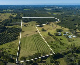 Rural / Farming commercial property for sale at Dunoon NSW 2480